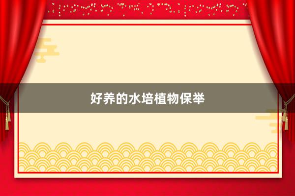 好养的水培植物保举