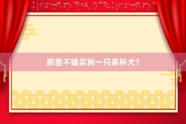 那里不错买到一只茶杯犬？